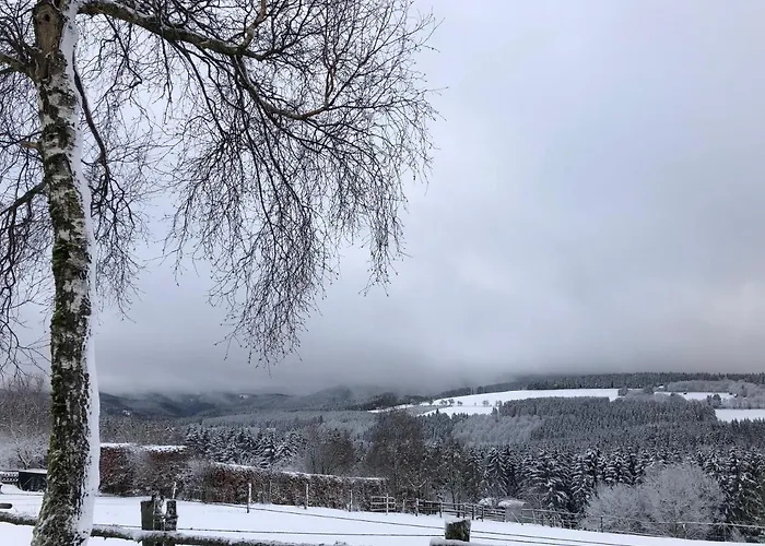 Apartment Kayley Medebach